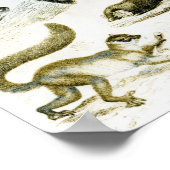 Cheiroptera, Insektivora Poster (Ecke)