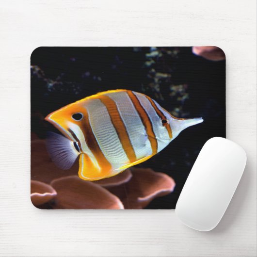 Chelmon rostratus mousepad (Mit Mouse)