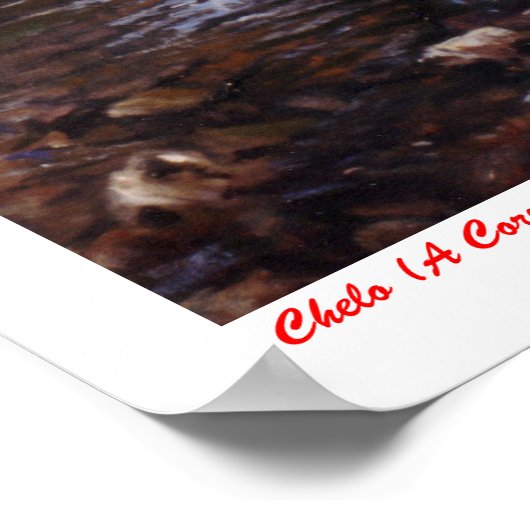 Chelo (A Coruña) Poster (Ecke)