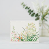 Chelone barbata, Ornithogalum von Tanigami Konan Postkarte (Stehend Vorderseite)