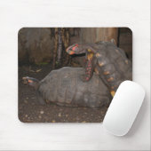 Chelonoidis carbonaria mousepad (Mit Mouse)