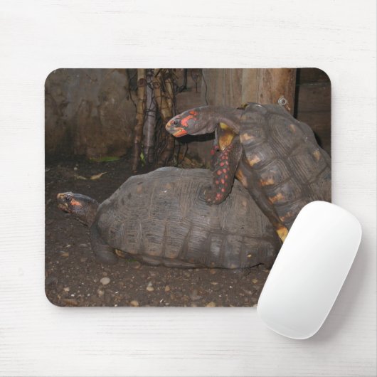 Chelonoidis carbonaria mousepad (Mit Mouse)