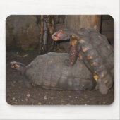 Chelonoidis carbonaria mousepad (Vorne)