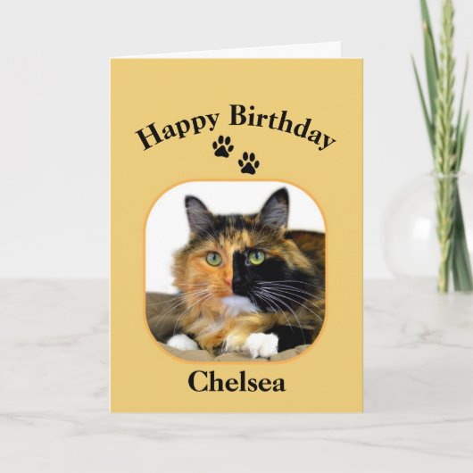 Chelsea Calico Cat Happy Birthday Karte (Vorderseite)