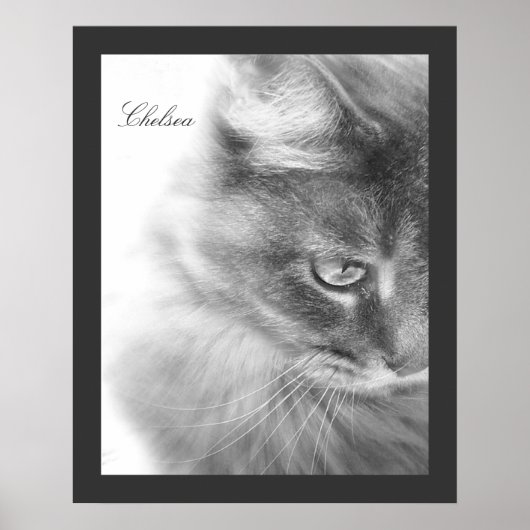 "Chelsea" Cat Portrait Poster (Vorne)