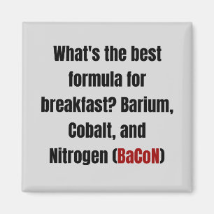 Chemie Bacon Pun Magnet