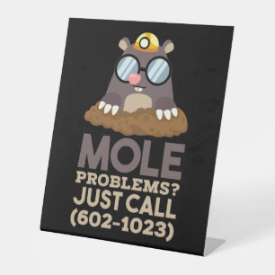 Chemie - Mol-Probleme Sockelschild