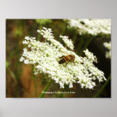 Chemie Poster (Vorne)