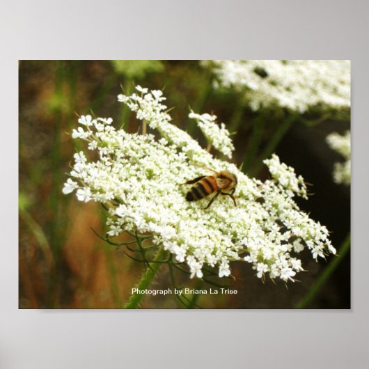 Chemie Poster (Vorne)