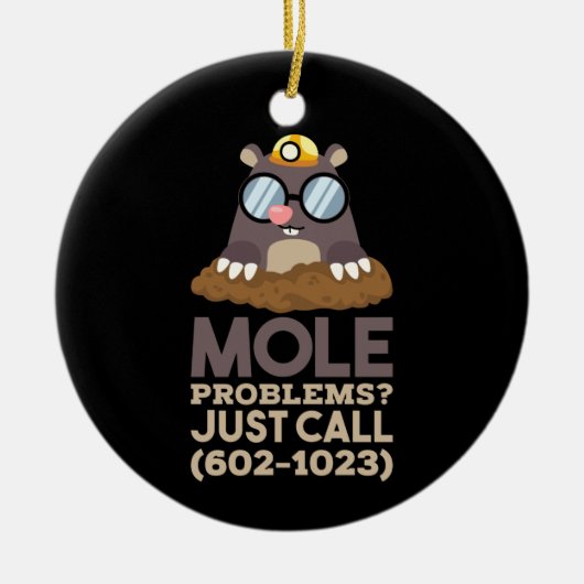 Chemie - Probleme mit dem Löwenanteil Keramik Ornament (Vorne)