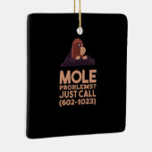 Chemie - Probleme mit dem Löwenanteil Keramikornament (Rechts)