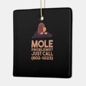 Chemie - Probleme mit dem Löwenanteil Keramikornament (Links)