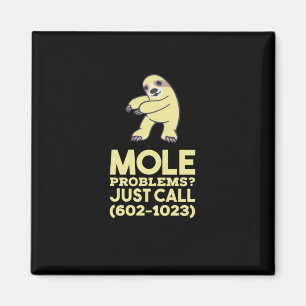 Chemie - Probleme mit dem Löwenanteil Magnet