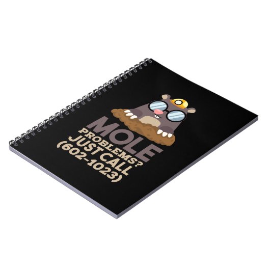 Chemie - Probleme mit dem Löwenanteil Notizblock (Linke Seite)