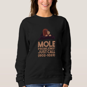 Chemie - Probleme mit dem Löwenanteil Sweatshirt