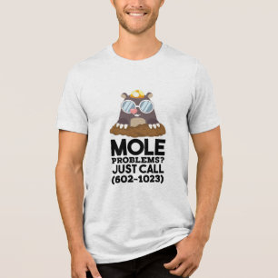Chemie - Probleme mit dem Löwenanteil Tri-Blend Shirt