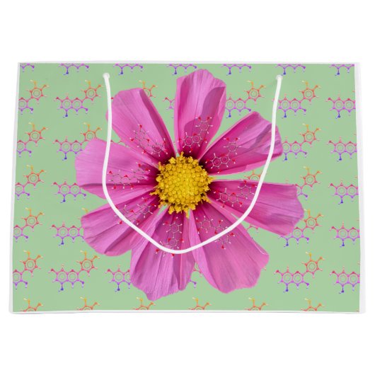 Chemiegarten Party Geschenktasche Große Geschenktüte (Vorderseite)