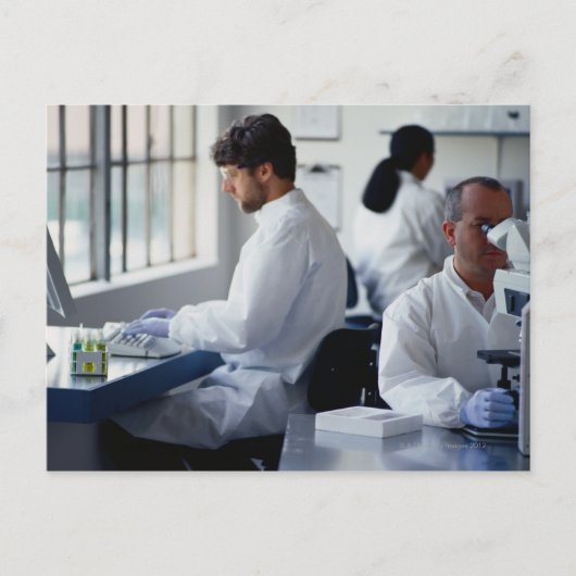 Chemiker, die in einem Labor arbeiten Postkarte (Vorderseite)