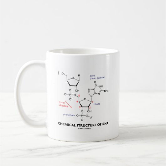 Chemische Struktur von RNS (molekulare Struktur) Kaffeetasse (Links)