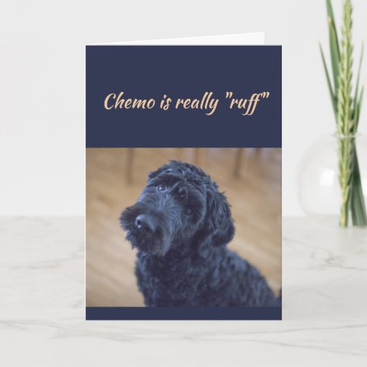 Chemo ist Ruff Niedlich Black Curly Dog Pet Karte (Vorderseite)