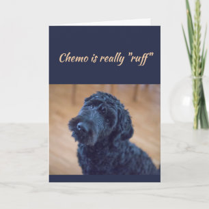 Chemo ist Ruff Niedlich Black Curly Dog Pet Karte