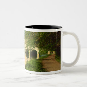 Chenonceau Chateau, Loire Valley, Zweifarbige Tasse