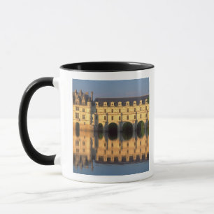 Chenonceau Chateau, River Cher, Loir-et-Cher, Tasse