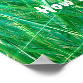 Cherded Butterfly Poster (Ecke)