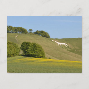Cherhill, Wiltshire, England Chalk Horse Postcard Postkarte