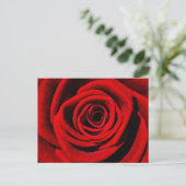 Cheries Geschenke Postkarte (Stehend Vorderseite)