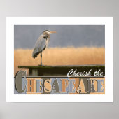 Cherish the Chesapeake Poster (Vorne)