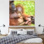 Cherished Orangutan Mother's Cuddle Leinwanddruck (Insitu (Schlafzimmer))