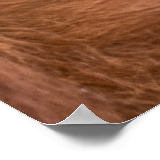 Cherished Orangutan Mother's Cuddle Poster (Ecke)