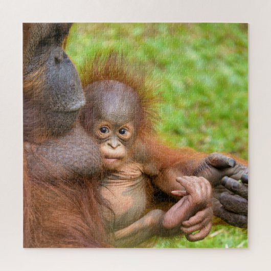 Cherished Orangutan Mother's Cuddle Puzzle (Vertikal)