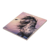 Cherokee blaue Kunst-Fliese Fliese (Seite)