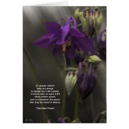 Cherokee Gebet, Kolumine im Sonnenlicht