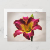 Cherokee Heritage Taglilie Postkarte (Vorne/Hinten)