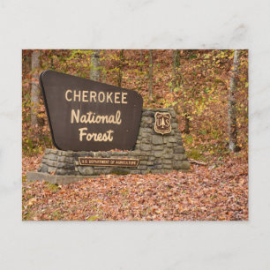 Cherokee National Forest Schild im Herbst in Tenne Postkarte