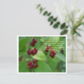 Cherokee Prayer Postkarte (Stehend Vorderseite)