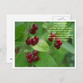 Cherokee Prayer Postkarte (Vorne/Hinten)