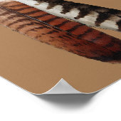 Cherokee Pride Poster (Ecke)