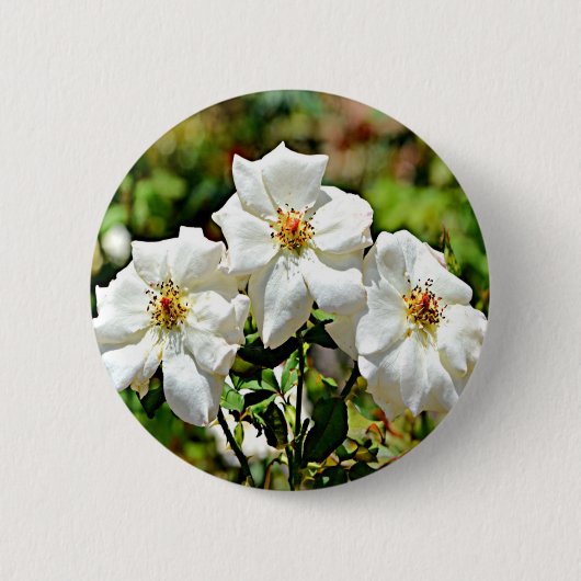 Cherokee Rose 2 Georgia Button (Vorderseite)