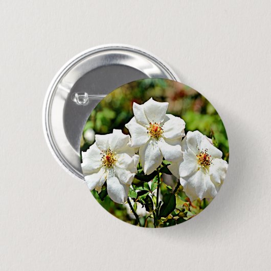 Cherokee Rose 2 Georgia Button (Vorne & Hinten)