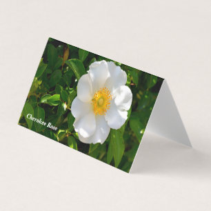 Cherokee Rose Blume Faltkarte