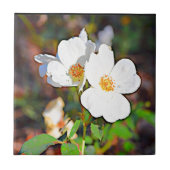 Cherokee Rose Georgia Fliese (Vorderseite)