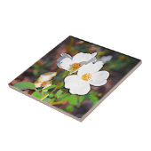 Cherokee Rose Georgia Fliese (Seite)