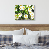 Cherokee Rose im Garten Leinwanddruck (Insitu (Schlafzimmer))
