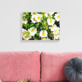 Cherokee Rose im Garten Leinwanddruck (Insitu (Wohnzimmer))