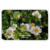 Cherokee Rose Magnet (Horizontal)