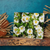 Cherokee Rose Offiziell Staat Blume Georgia, USA Fotoplatte (Seite)